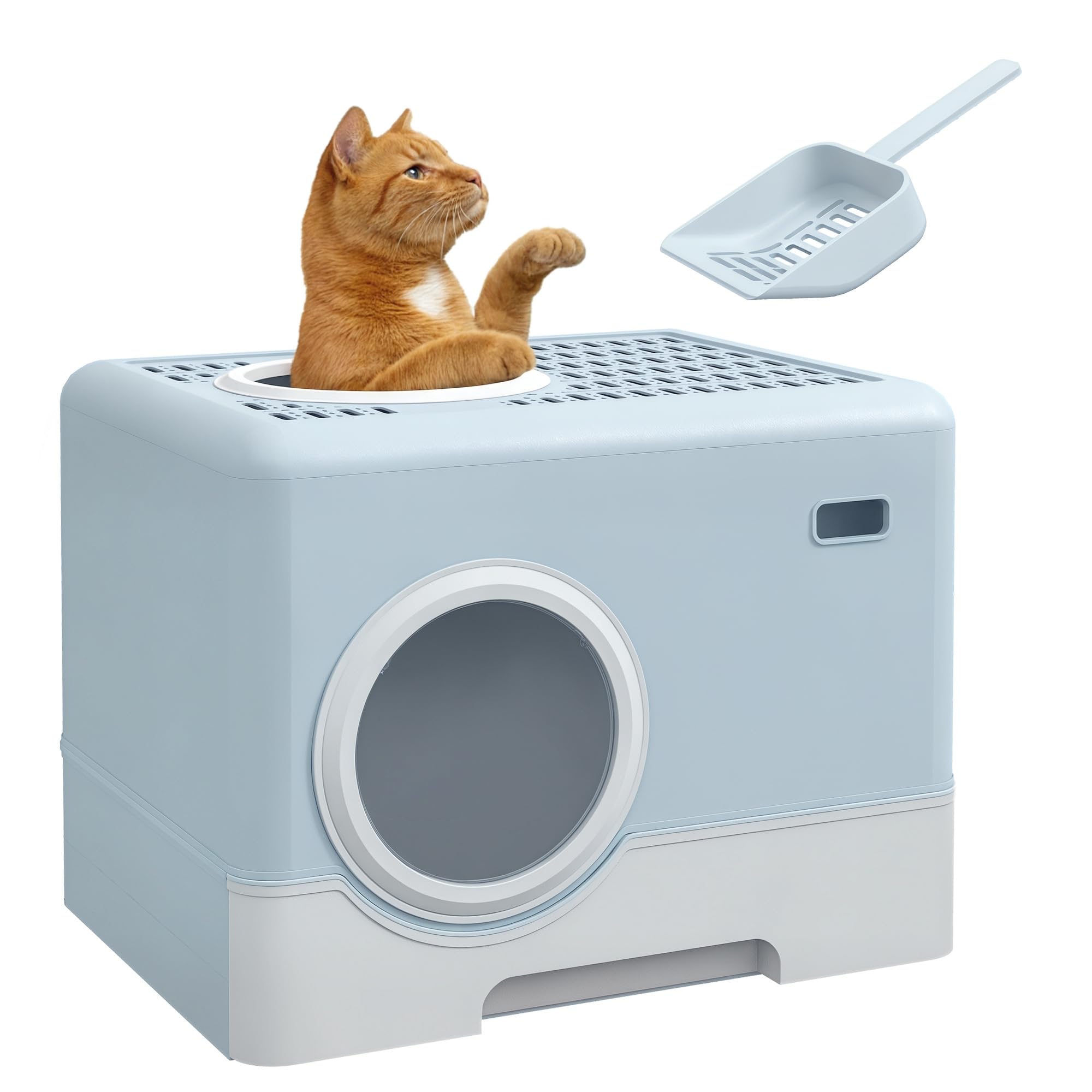 Bac à litière PawHut bleu pour chat avec capot et entrée frontale